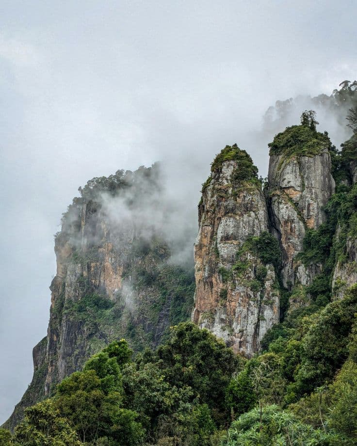 Kodaikanal Lake Getaway