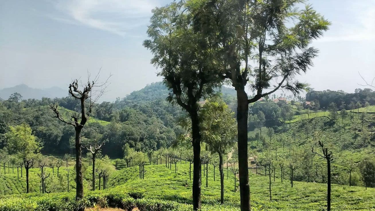 Munnar