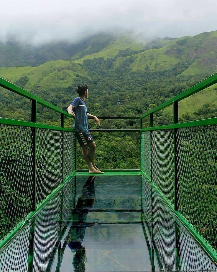 Wayanad Wildlife & Wilderness