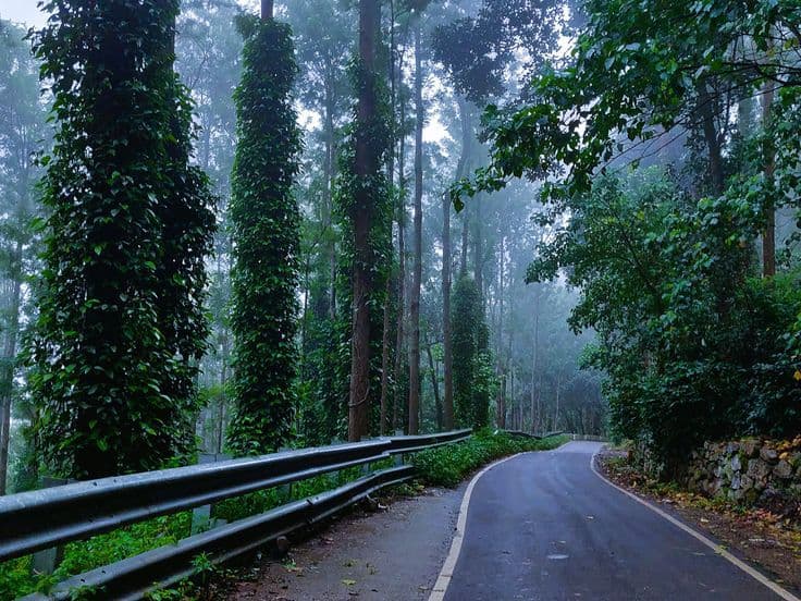 Yercaud