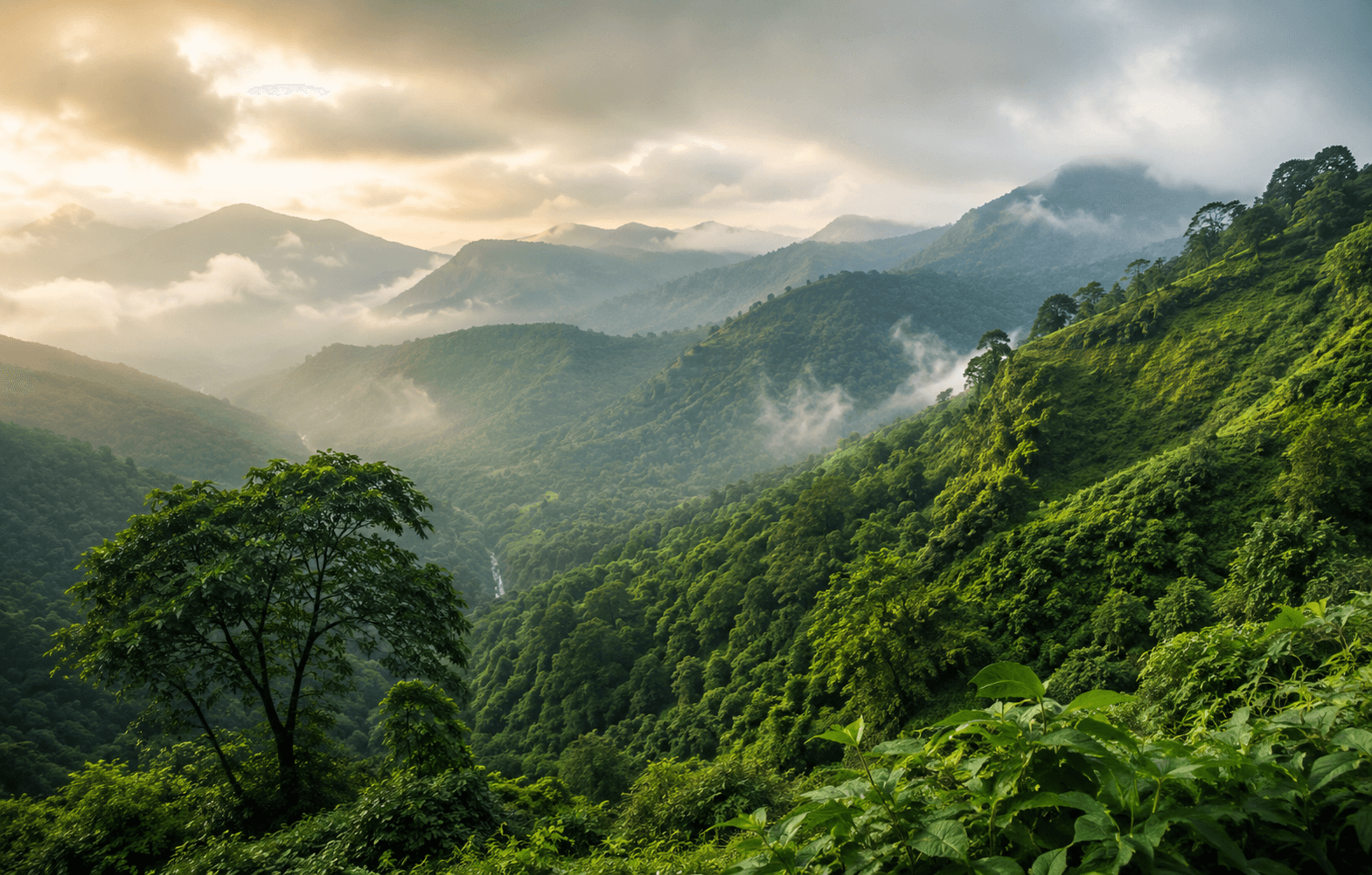 Kashmir — Heaven on Earth