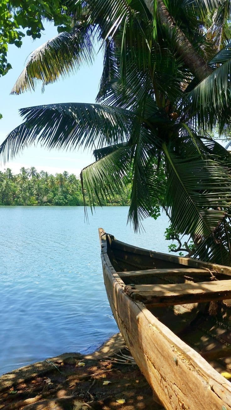 Kerala Backwaters